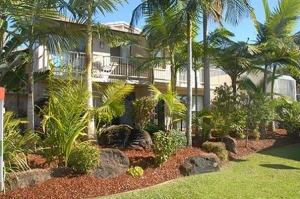 palm court noosa queensland